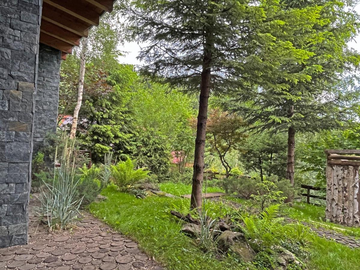 Bazalt Wellness Villa Harghita-Bai Exterior photo